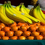 zgfestivalsvjetla8mal