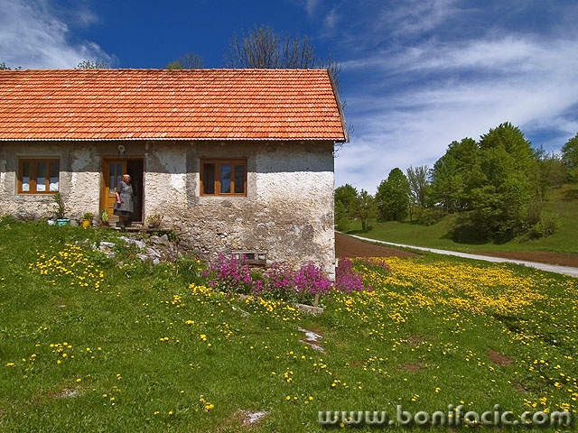 travel___Country___Modrus, Croatia.