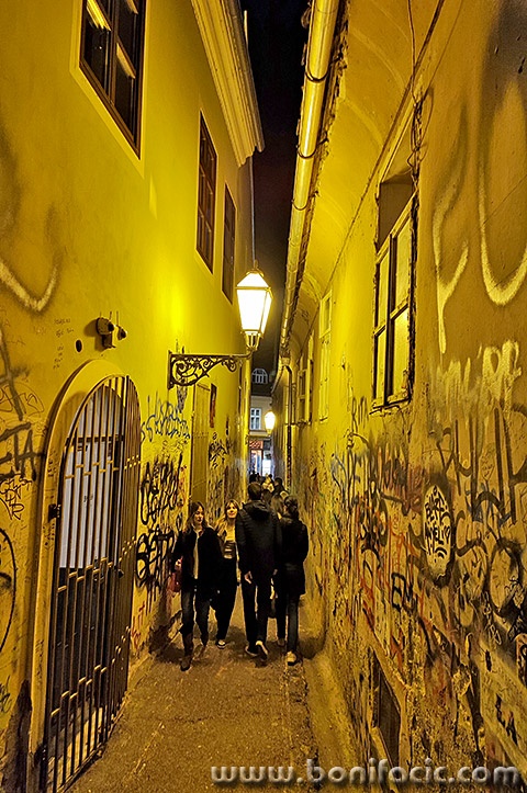 zgfestovalsvjetla107mal