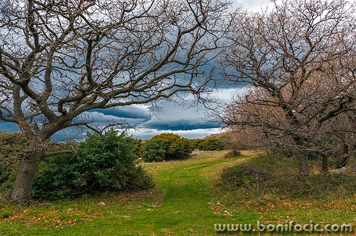 starabaskaclouds12mal