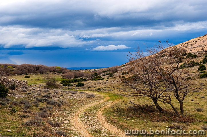 starabaskaclouds20mal
