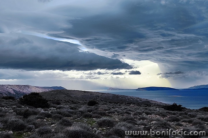 starabaskaclouds55mal