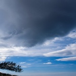 stablooblakstarabaska5mal