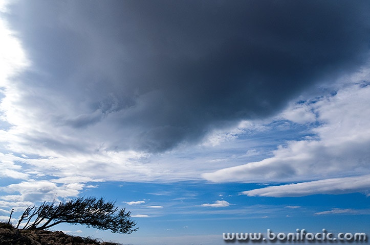 stablooblakstarabaska5mal