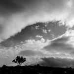 stablooblakstarabaska3mal