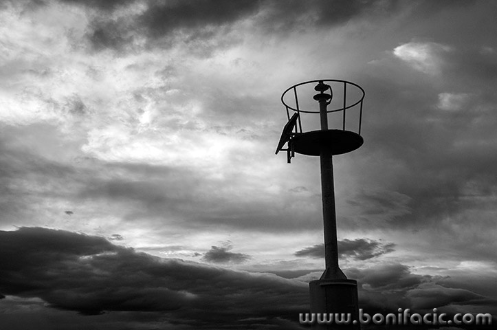 bukalanternaoblacibw1mal