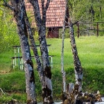 primisljemreznica22mal