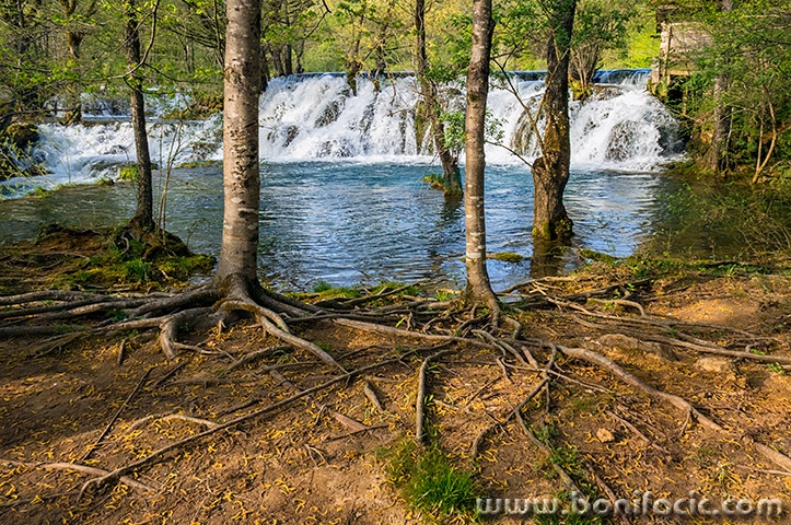 primisljemreznica34mal