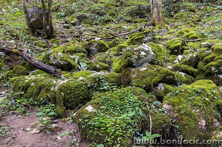 smitovojezerogrote1mal