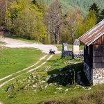 hsvetagera5malwebtravel