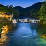 bihkostalskibuknoc1mal