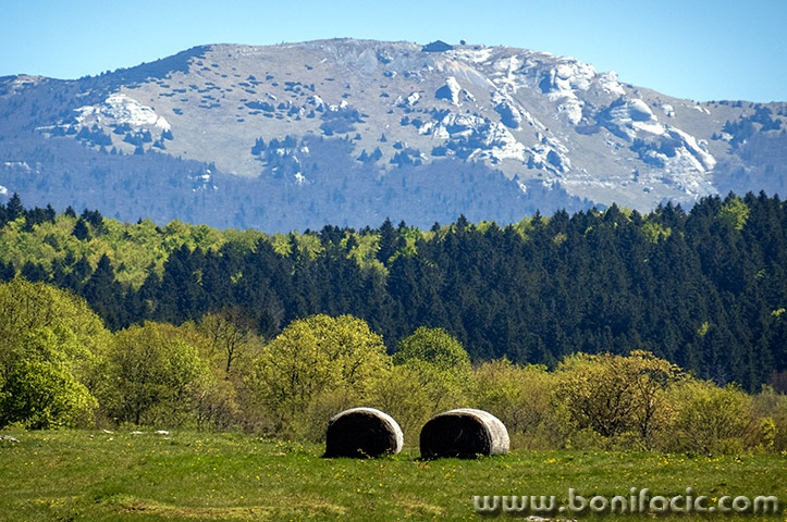 bih20mal