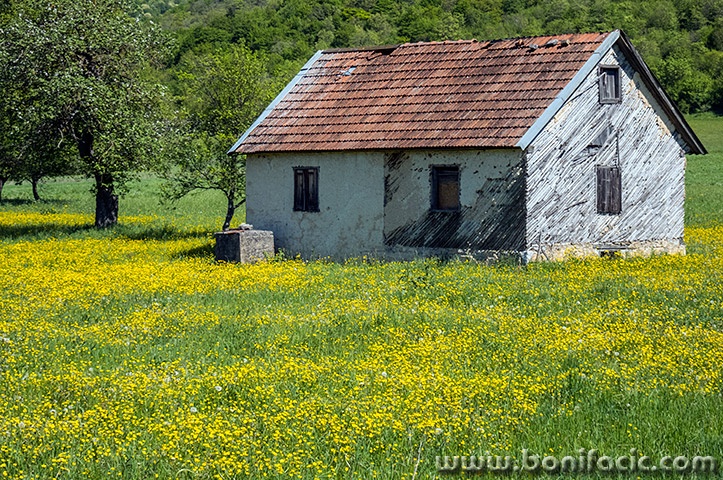 bih18mal