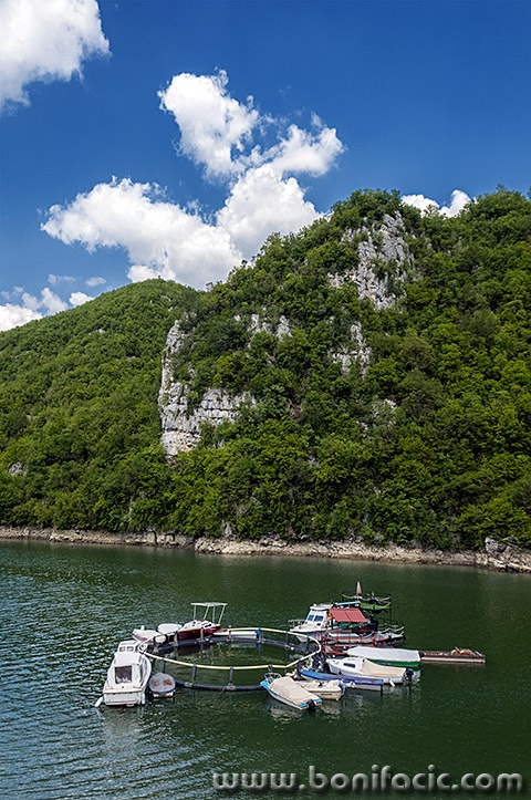 bih160mal