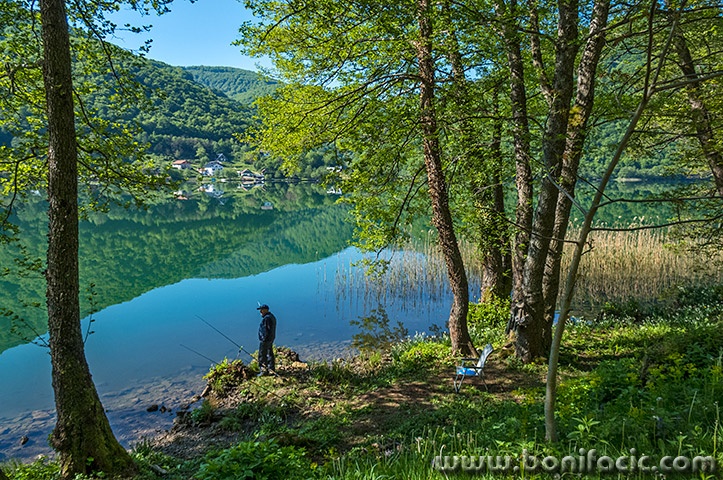 bih239mal