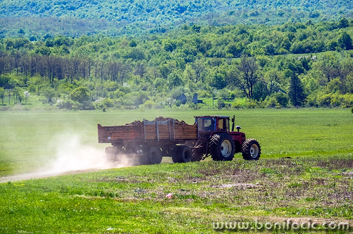 bih264mal