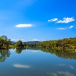 speharjislohrkupa1mal