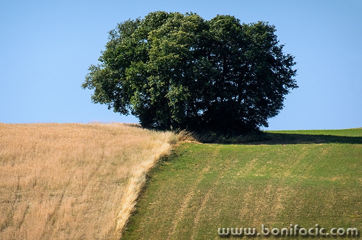 toscana1mal