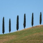toscana2mal
