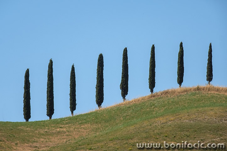 toscana2mal