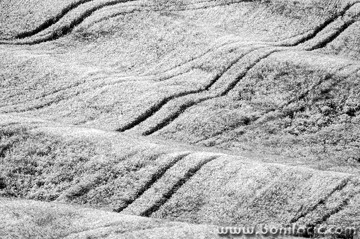 toscana6bwmal