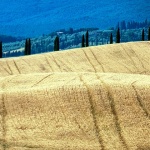 toscana20mal