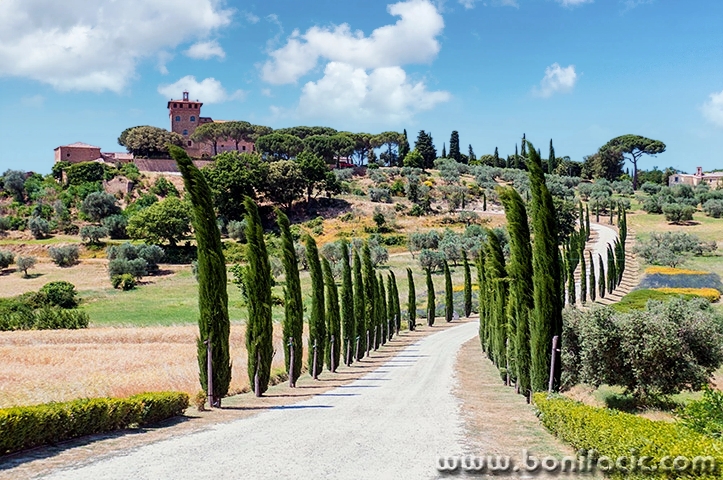 toscana251mal