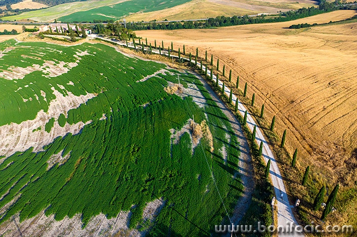 toscana48mal