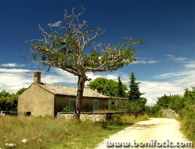 travel___First House___Kras, Croatia.
