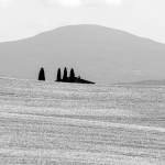 toscana209bwmal