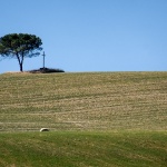 toscana72mal