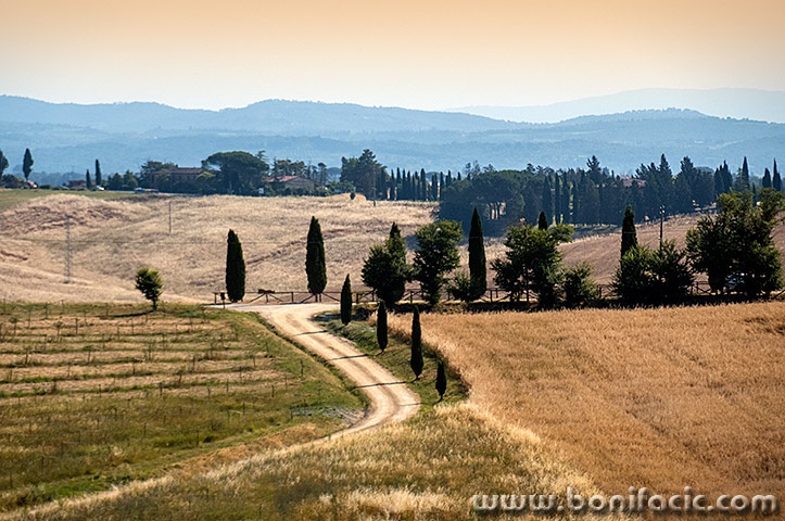 toscana77mal
