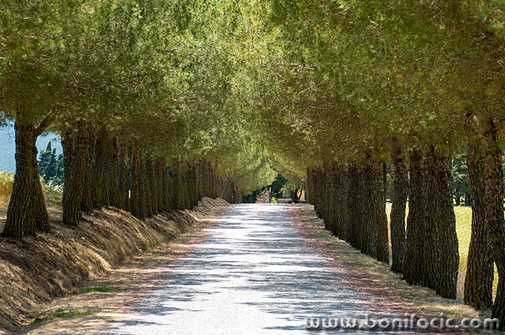 toscana181mal