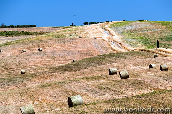 toscana192mal