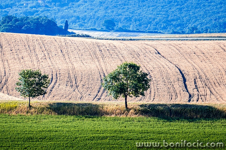 toscana271mal
