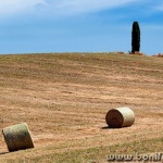toscana188mal