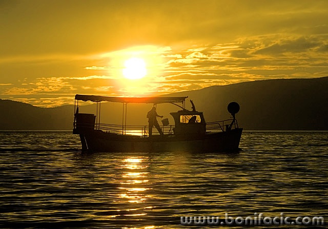 travel___Fishing___Punat, Croatia.