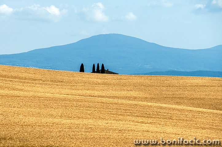 toscana208mal