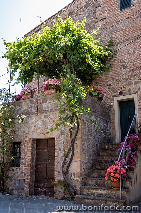 toscana68mal
