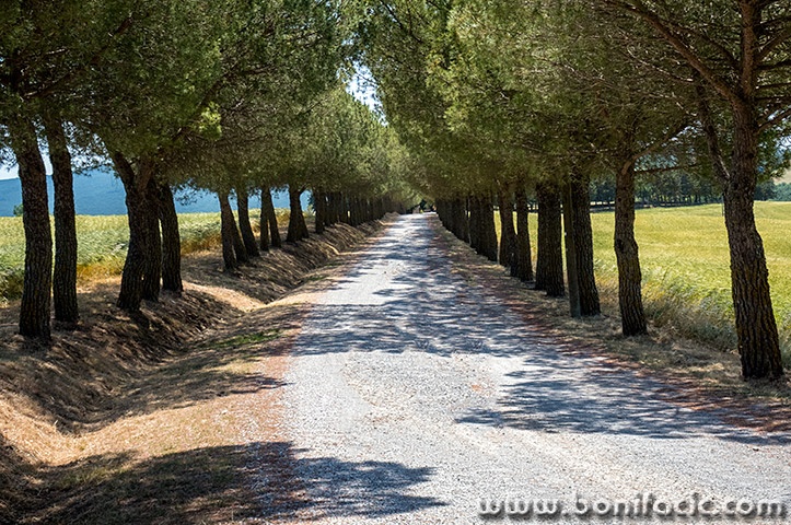 toscana86mal