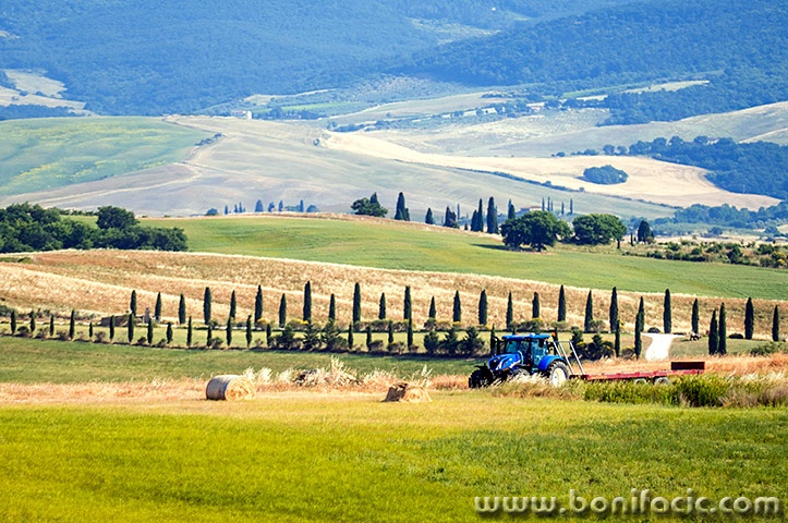 toscana213mal