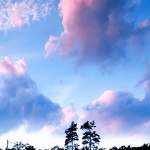 lescestablanebozal1mal