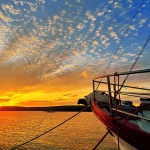 brodzalazpuncale1mal