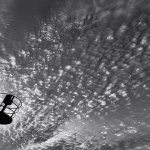 lanternapuncaleoblacibw1mal