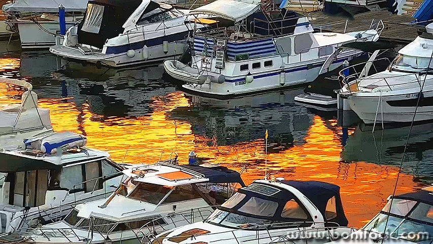 marinagoldsun1mal
