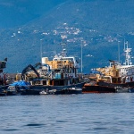 rilukaribarigalebpano1mal