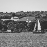 jedrilicamostirbw1mal