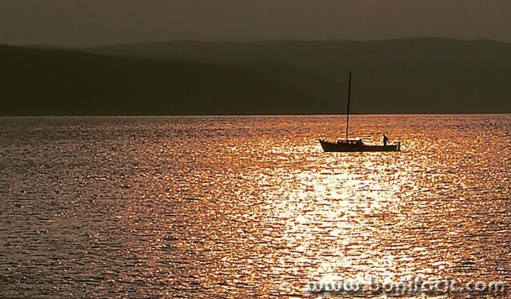 travel___Gold___Punat, Croatia.