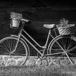 bicmlinrastokebw3mal