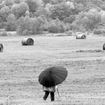 rastokefallsbabaovcelika26mal